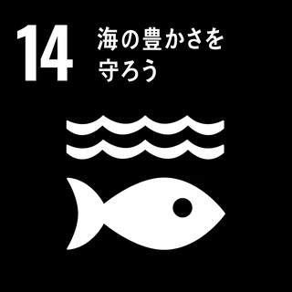 持続可能な開発目標 14 海の豊かさを守ろう