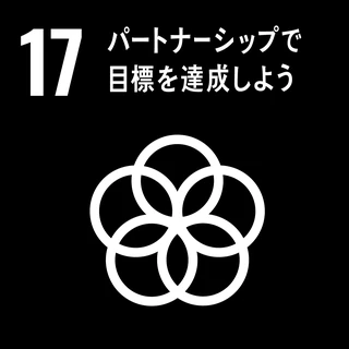 持続可能な開発目標 17 パートナーシップで目標を達成しよう